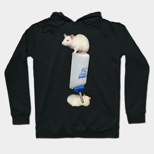 rats Hoodie